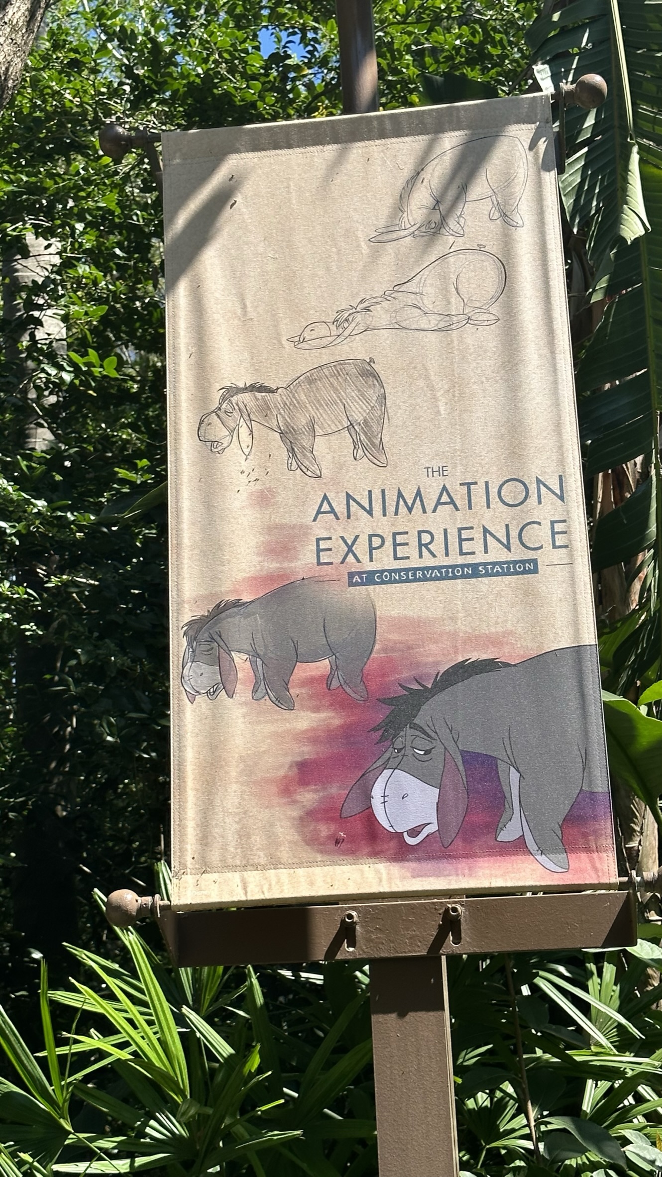 Learning to draw Bambi: The Disney Animation Experience at WDW Animal Kingdom Conservation Station