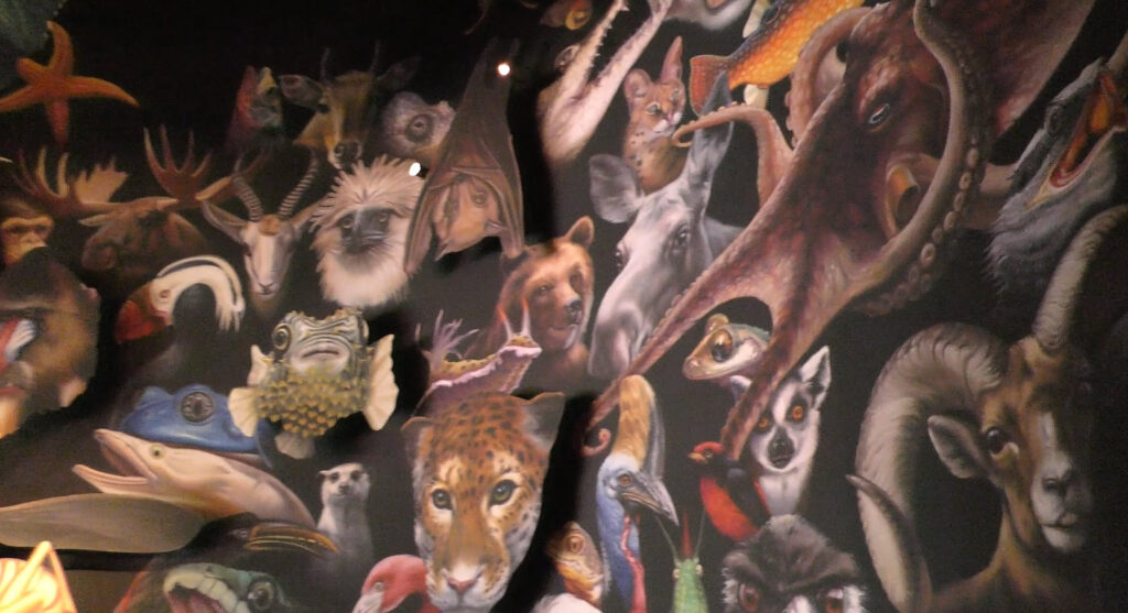 Ride Wildlife Express to Rafiki’s Planet Watch