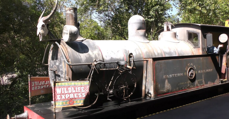 Wildlife Express to Conservation Station, Rafiki's Planet Watch at Walt Disney World Animal Kingdom