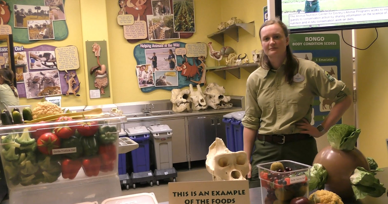 Wildlife Express to Conservation Station, Rafiki's Planet Watch at Walt Disney World Animal Kingdom