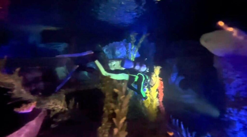 Embark on an Underwater Adventure: Disneyland's Finding Nemo Submarine Voyage 2023