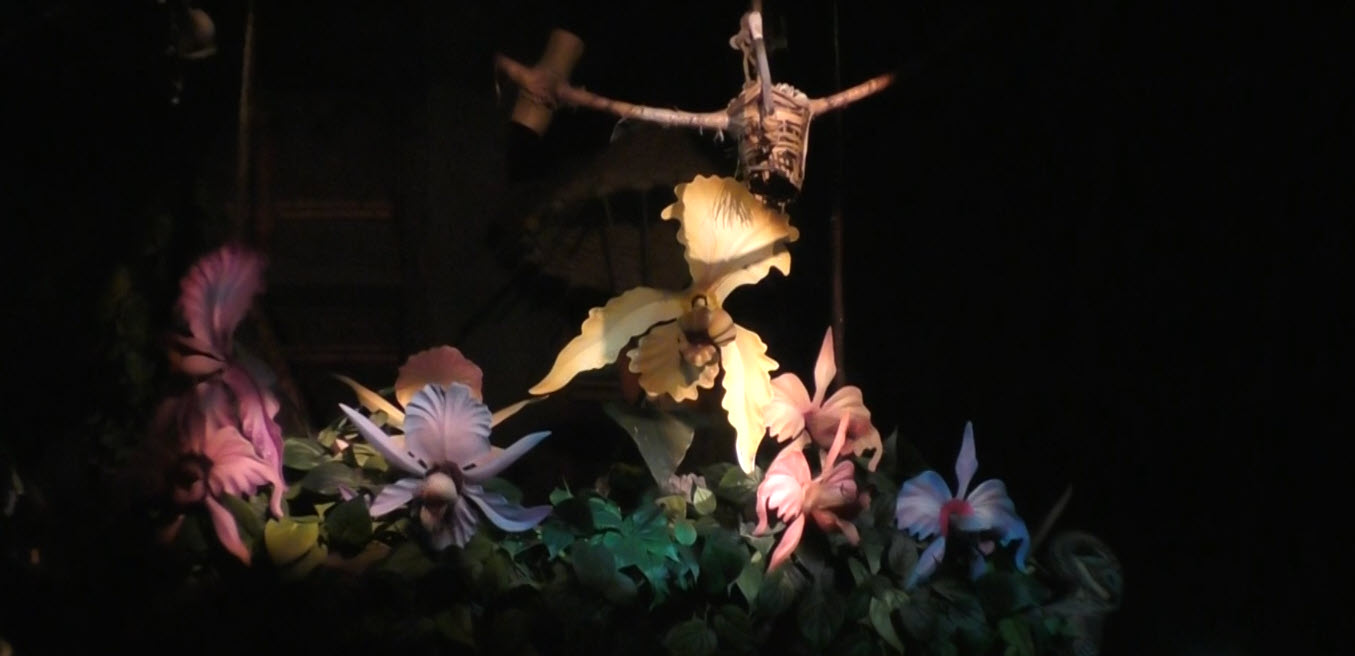 Walt Disney's Enchanted Tiki Room | Disneyland | Adventureland | Attraction POV