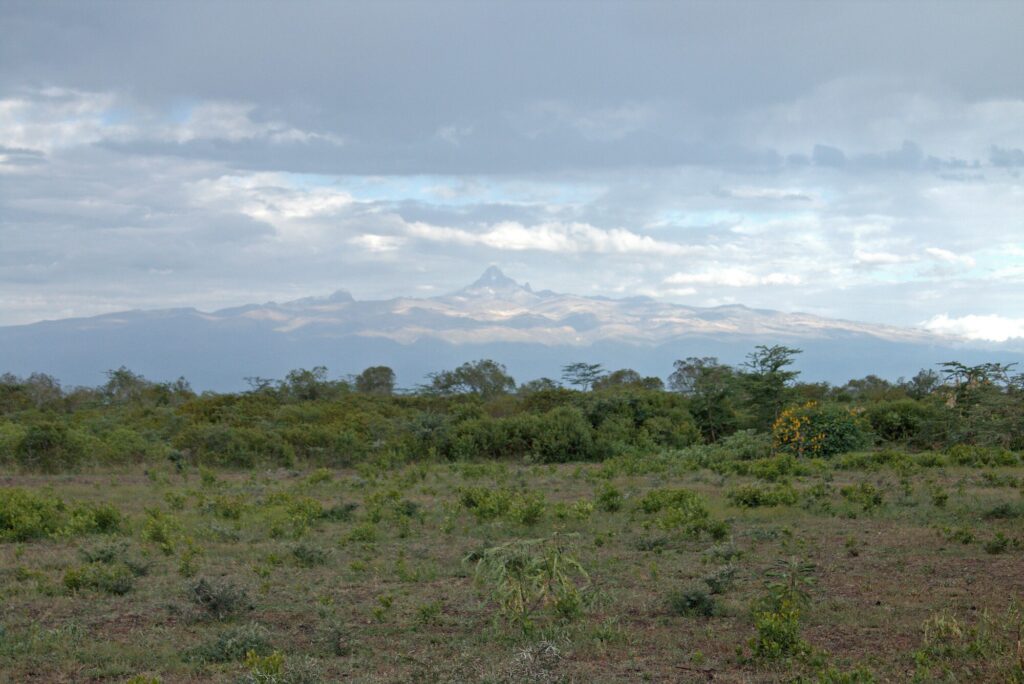 Mount Kenya rises in the distance above the vegetation at the Mount Kenya Wildlife Estate, Ol Pejeta, Nanyuki, Laikipia, Kenya in the "Land of Giants" episode of "A Real Bug's Life." (National Geographic/Rob Harvey)