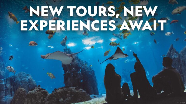 New National Geographic Day Tours for Travelers Short on Time but Big on Exploring