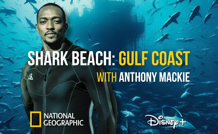 Shark Beach Gulf Coast with Anthony Mackie