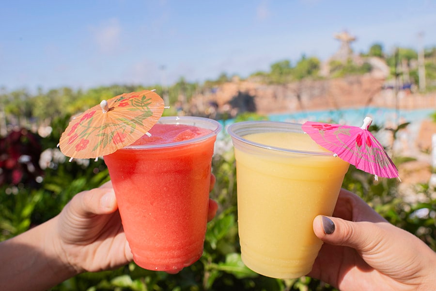 Frozen Drinks at Typhoon Lagoon at Walt Disney World