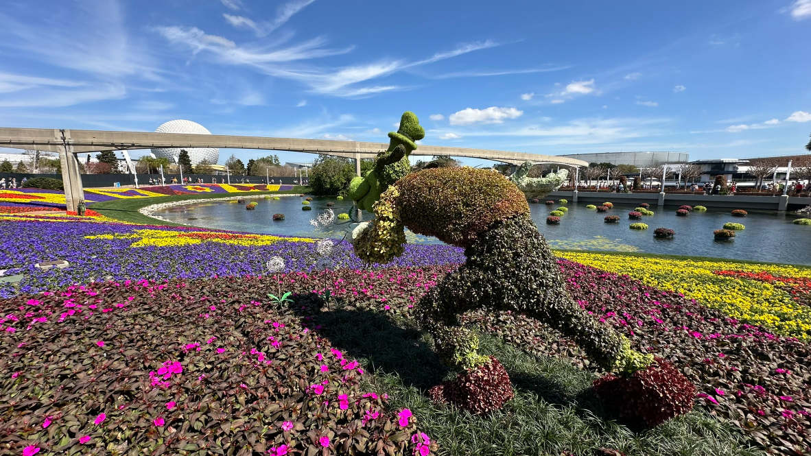 2024 Epcot Flower and Garden Festival Topiaries - Goofy near the Festival Blooms