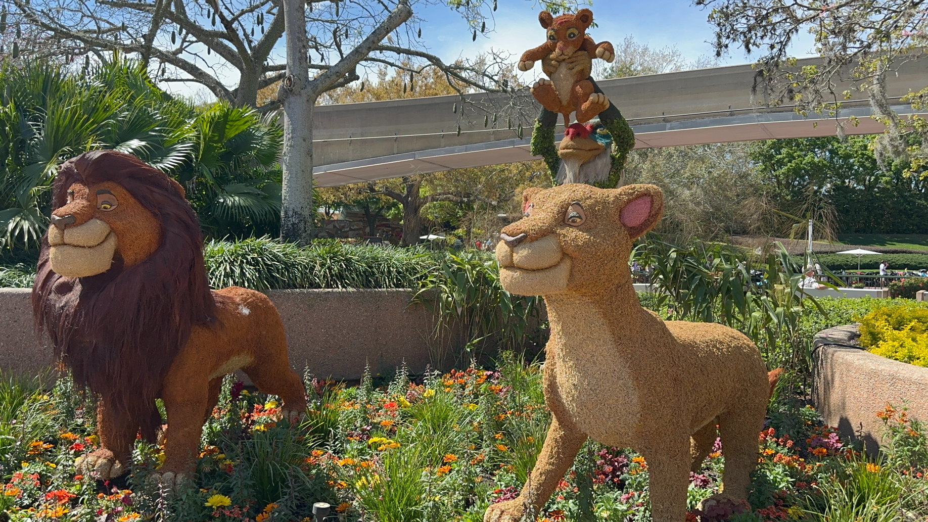 2024 Epcot Flower and Garden Festival Topiaries - Lion King