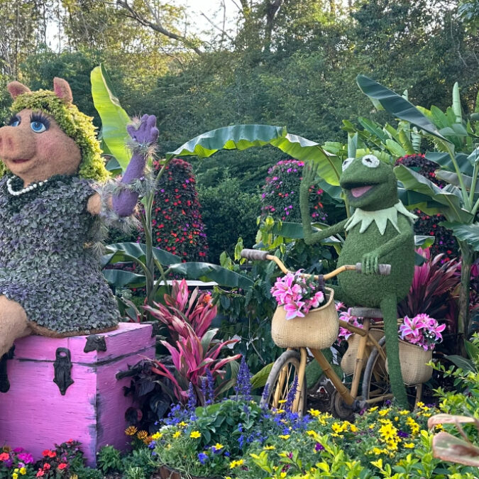 Amazon.co.jp: WDW フロリダ ディズニーワールド エプコット