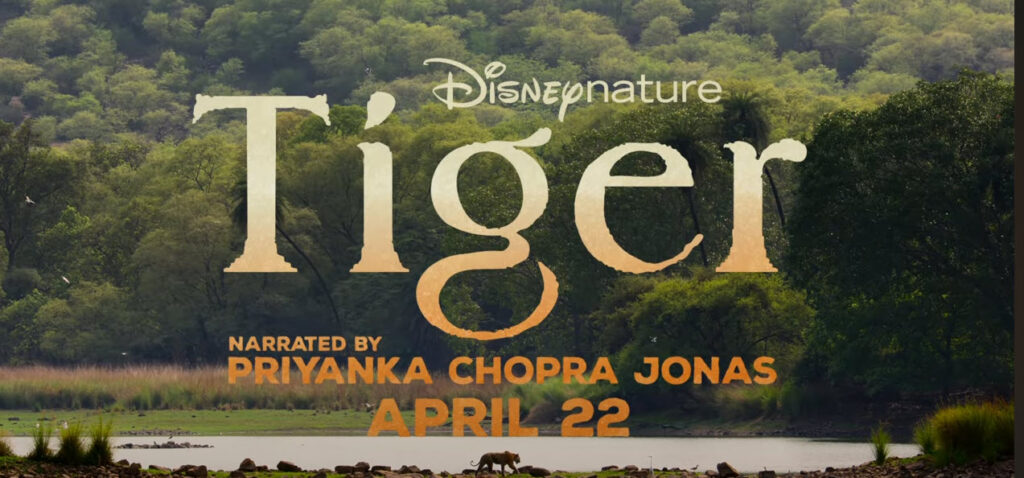 Unveiling Nature's Majesty: Priyanka Chopra Jonas Narrates 'Tiger' in Disney+ Earth Day Trailer