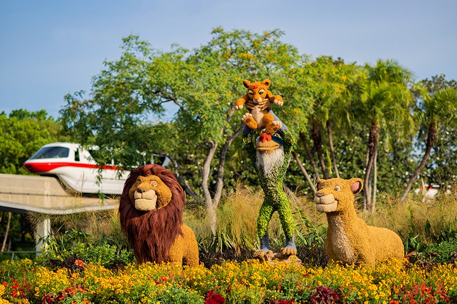 Simba and Friends Topiaries at EPCOT