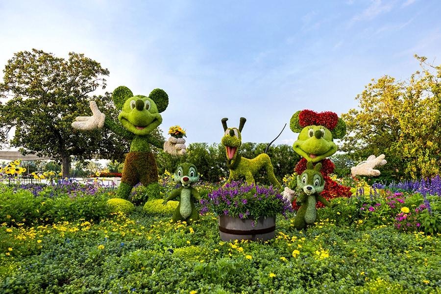 Mickey Mouse, Minnie Mouse, Chip, Dale and Pluto Topiaries at EPCOT