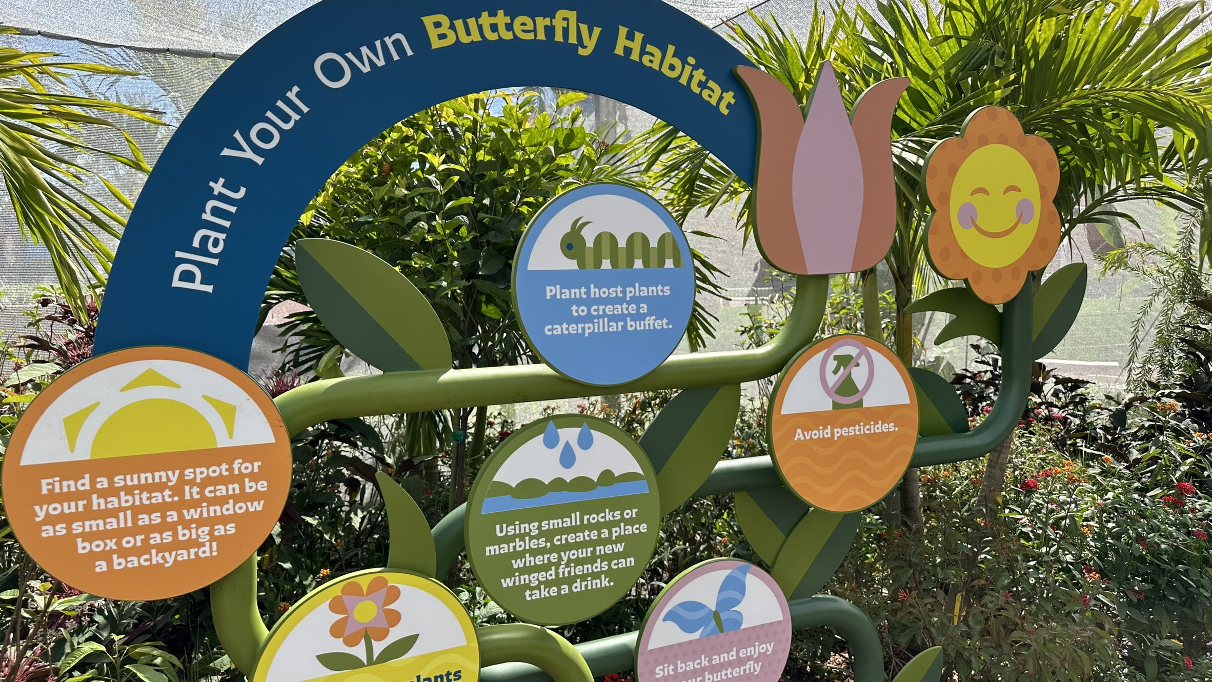 Epcot Flower and Garden Festival 2024: Butterfly Landing