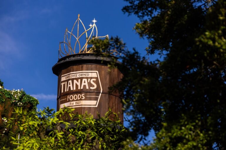 The Teams Who Made Tiana’s Foods Water Tower
