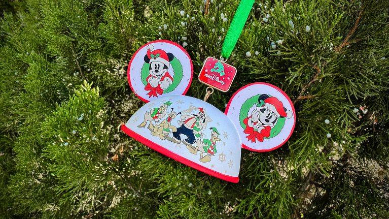 runDisney Virtual 12Ks of Christmas Medal