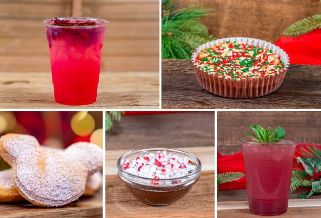 Treats and Drinks Collage - Disneyland Resort Holiday Food 2024