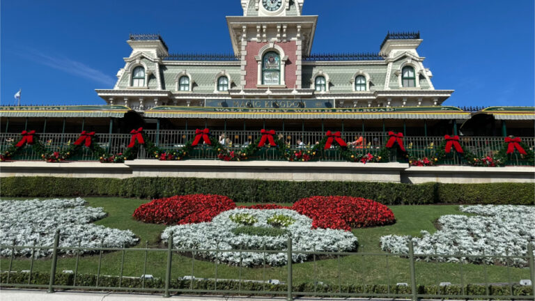 poinsettias at Walt Disney World