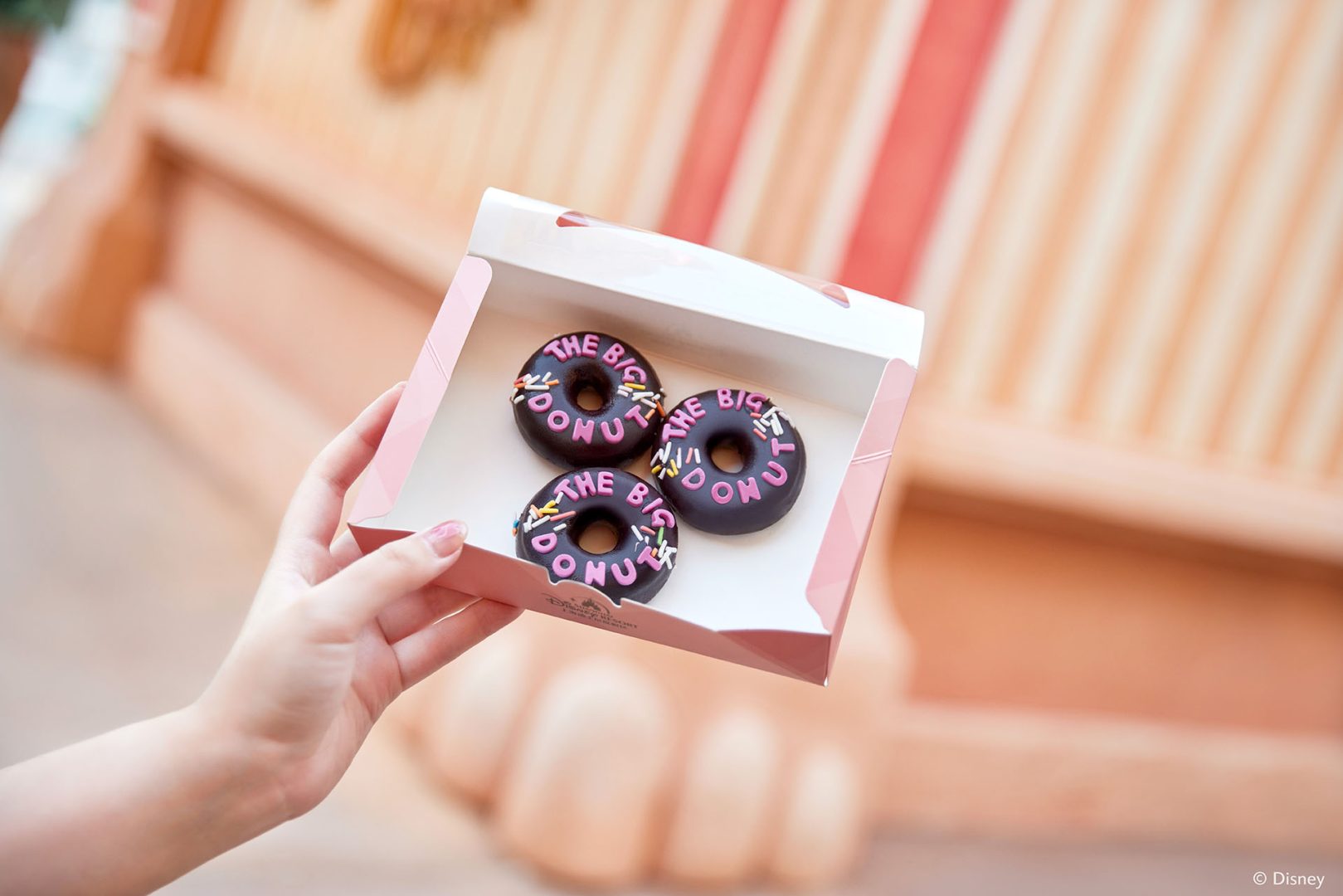 Mini size of The Big Donut, Shanghai Disney Resort