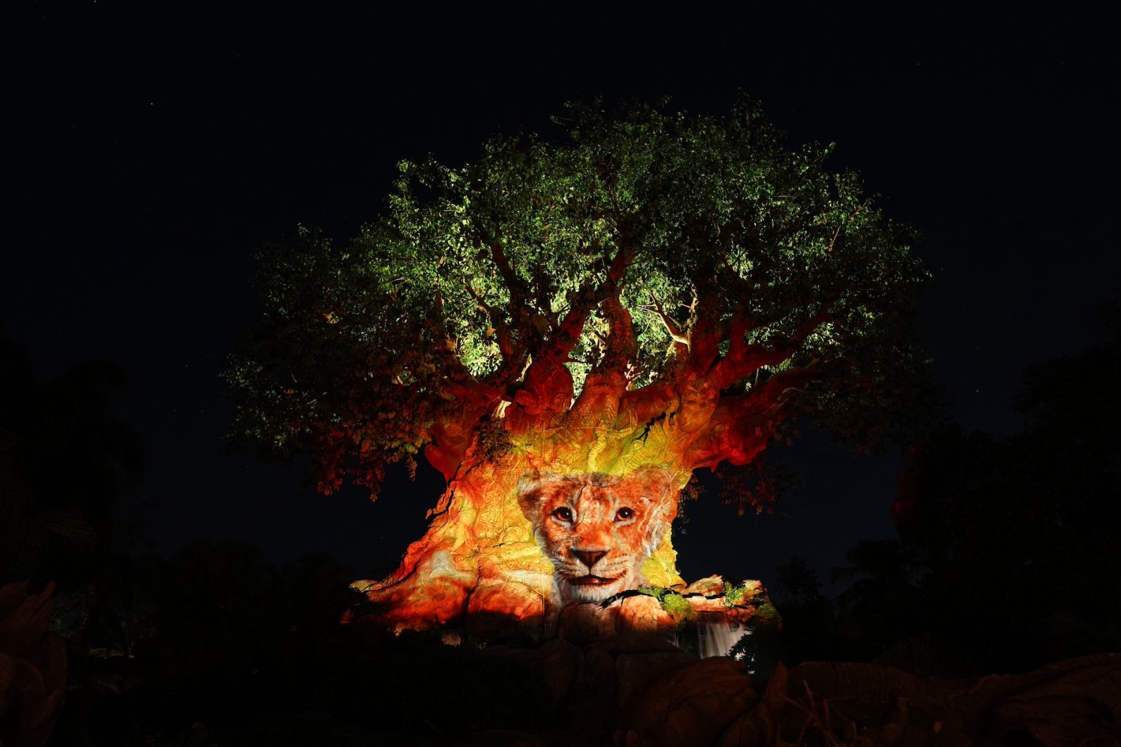 Tree of Life Awakenings, Disney’s Animal Kingdom Theme Park 