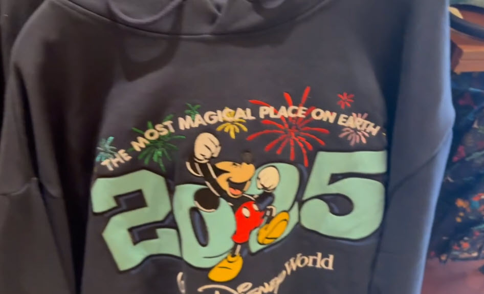 Discover the magic of 2025 with Walt Disney World's newest merchandise collection, available across the resort and Disney Springs!