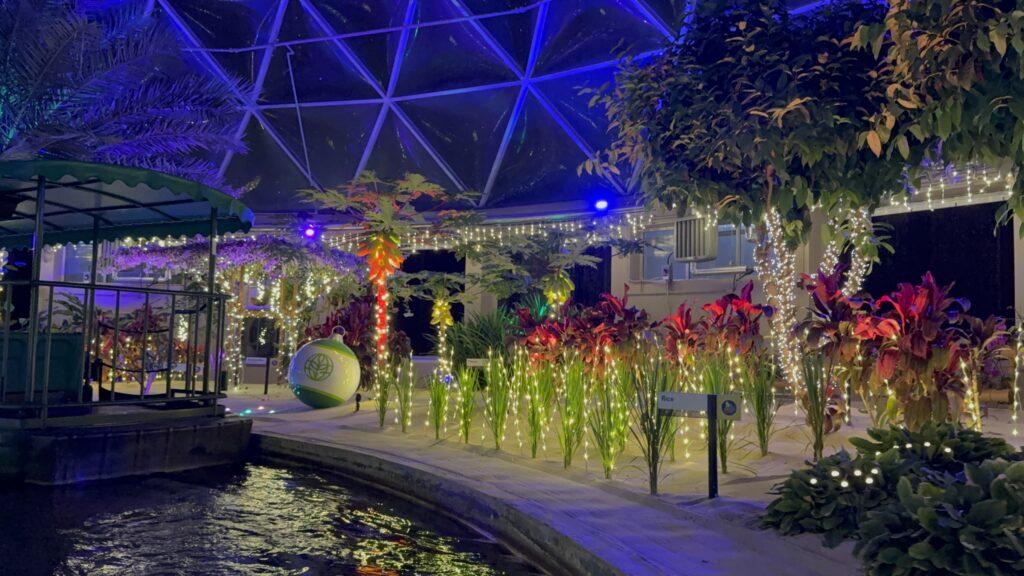 Living with the Land: Glimmering Greenhouses shines with festive lights and holiday decorations, bringing seasonal magic to EPCOT during the 2024 Festival of the Holidays