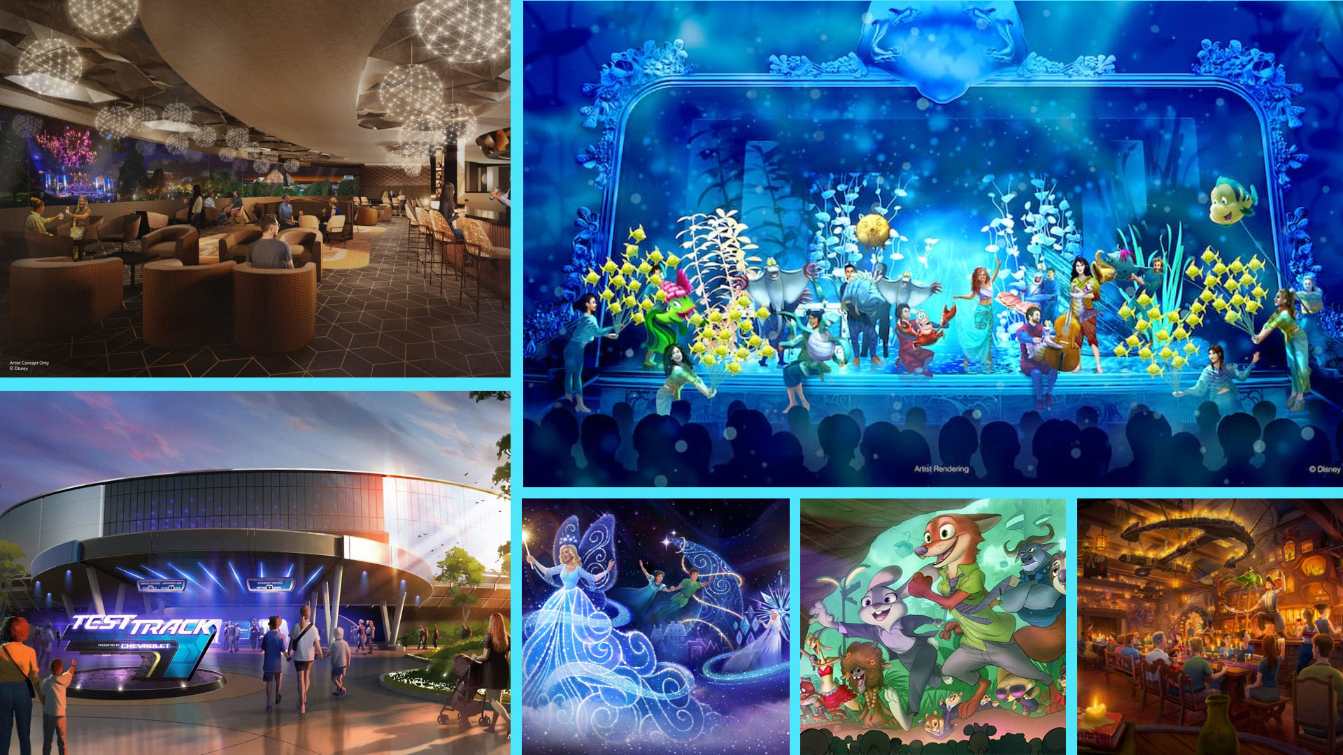 What's coming to Walt Disney World in 2025