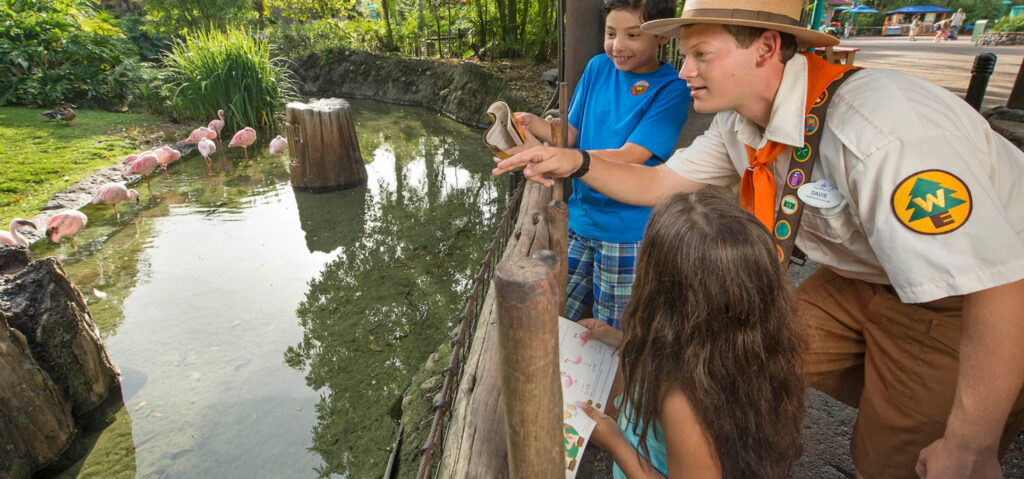 Wilderness Explorers (2)