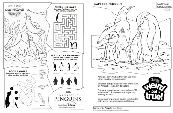 Playful Penguin Activity Sheets from Nat Geo