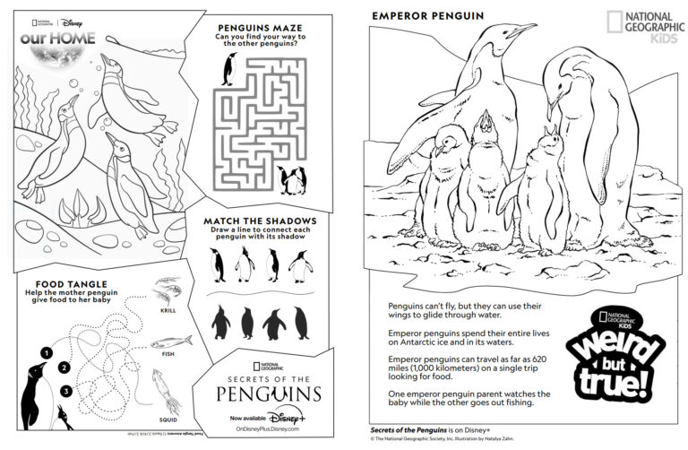 Playful Penguin Activity Sheets from Nat Geo
