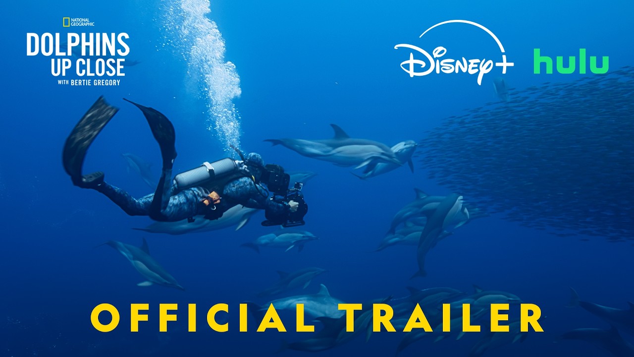 Dolphins Up Close with Bertie Gregory – New Nat Geo Special