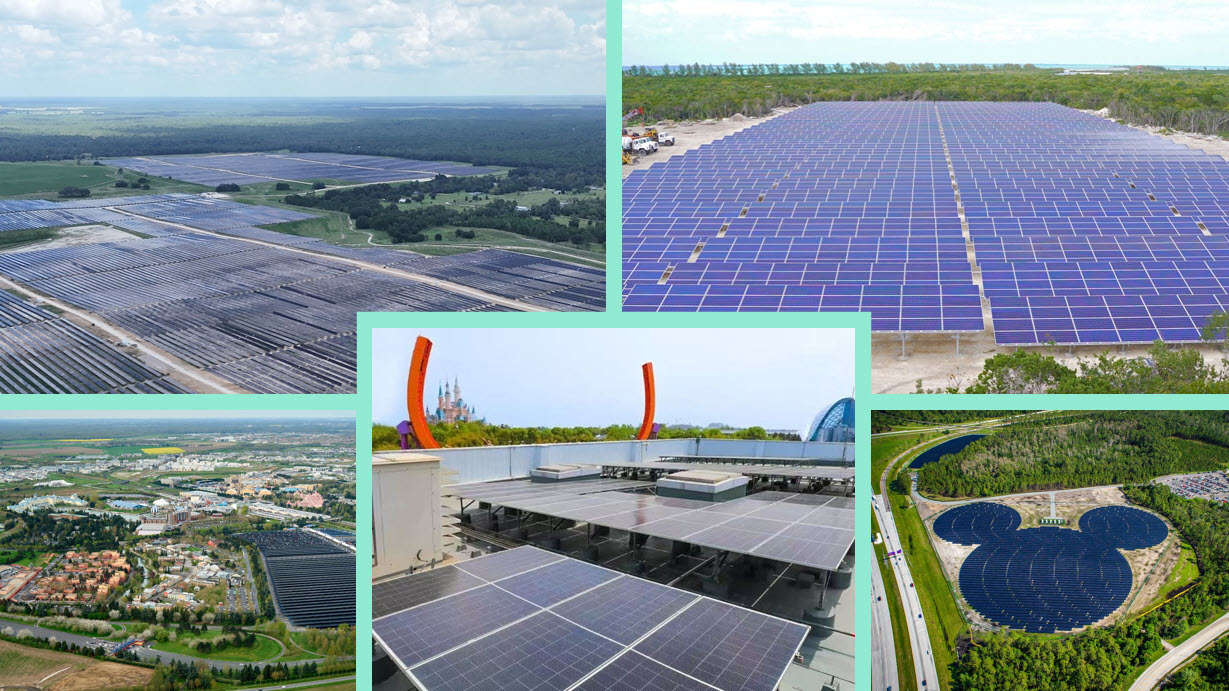 Disney Solar Power Behind the Magic